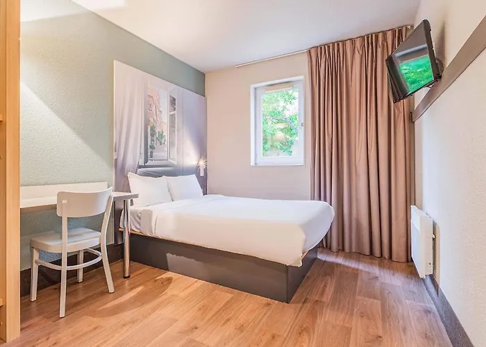Mulhouse Ile Napoleon Hotel Illzach